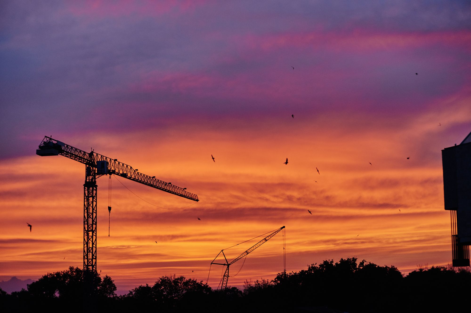 Grue de chantier au coucher du soleil